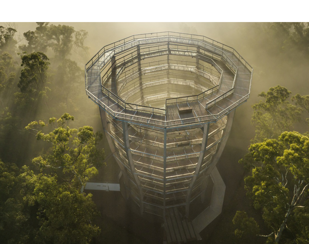 Beyond the Trees Avondale offer!